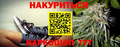 трава Сланцы