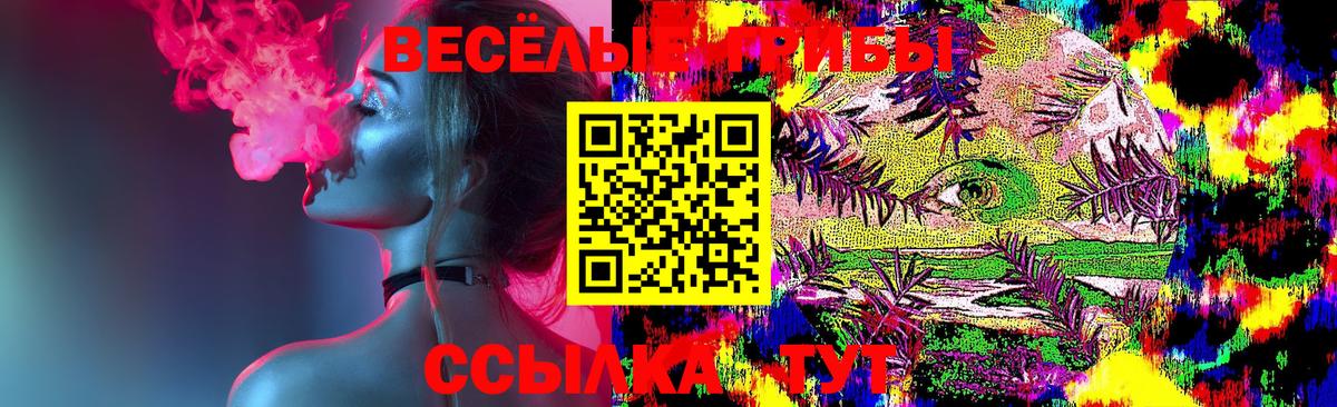 Ногинск  Псилоцибиновые грибы Magic Shrooms  Вход с VPN  Псилоцибиновые грибы Psilocybine cubensis 